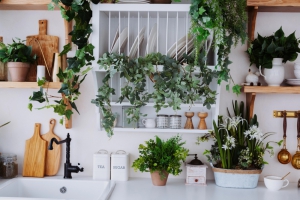 Improve Your Quality of life With Biophilic Home Design