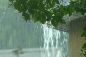 L'impact de la pluie sur nos maisons