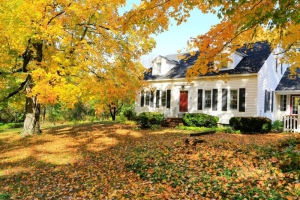 Acheter une maison en campagne : bon investissement ou pas?